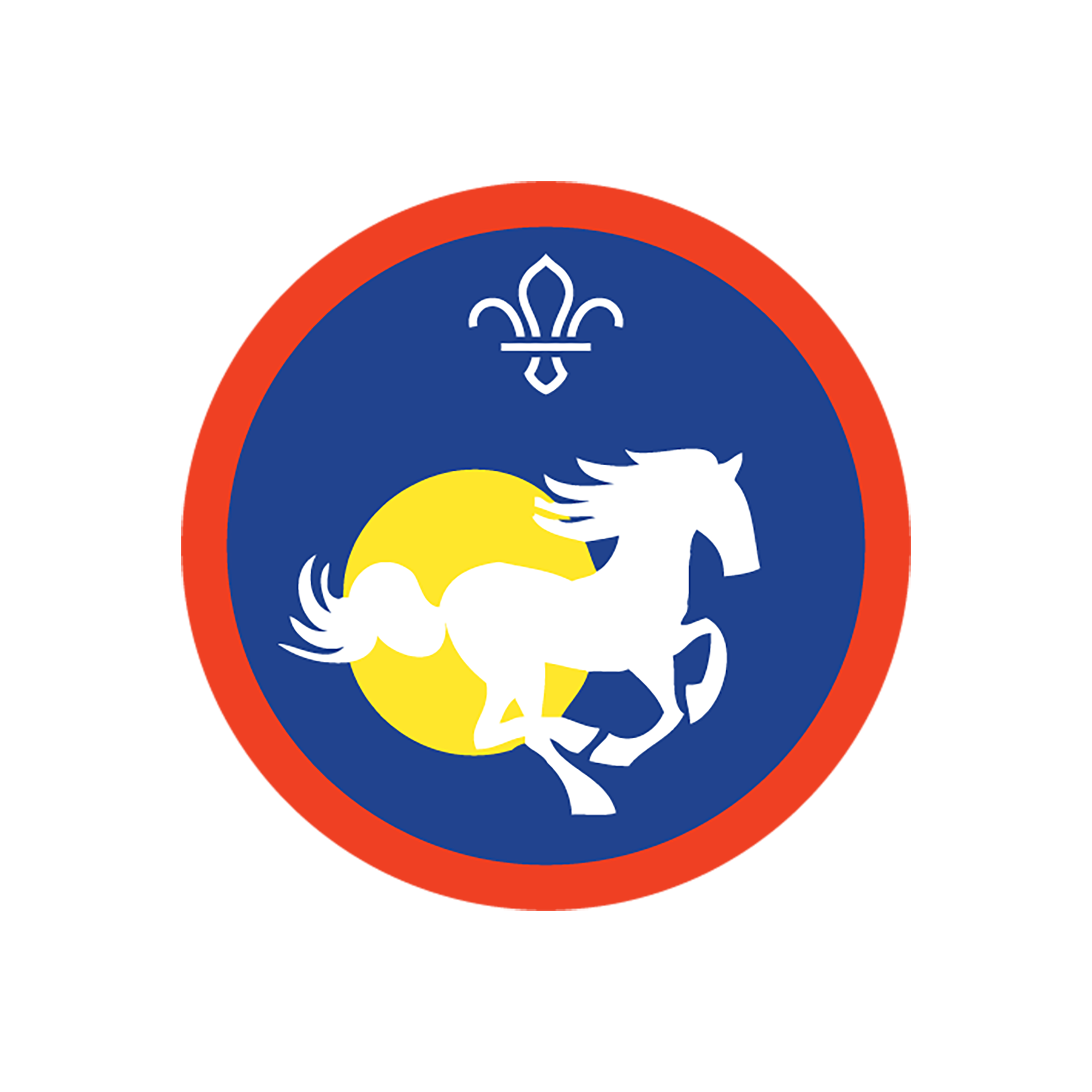 equestrian-treetops-scout-guide-store