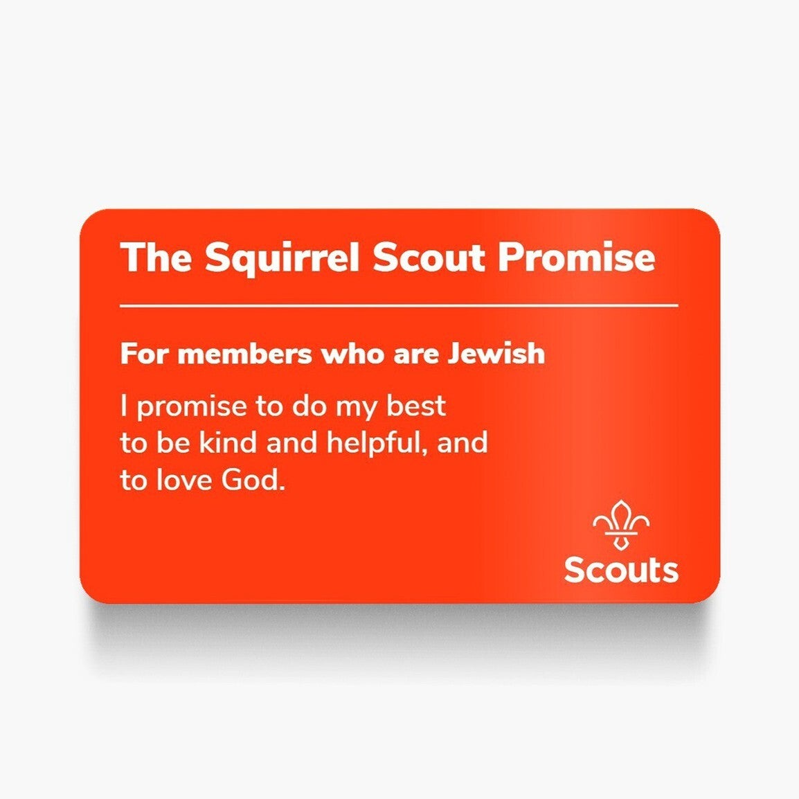 Promise Card Squirrels Jewish TreeTops Scout & Guide Store